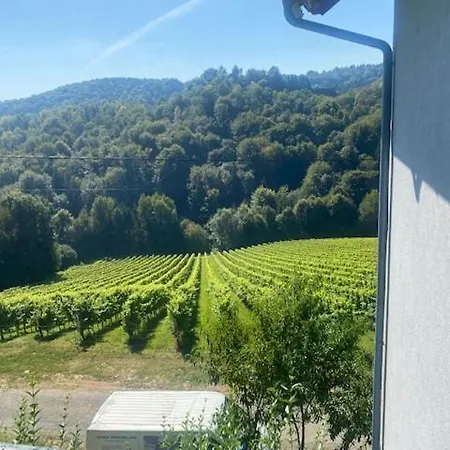 Maximilian アパート ガムリッツ