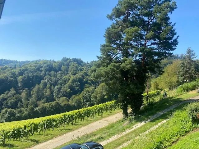 Lägenhet Maximilian Gamlitz